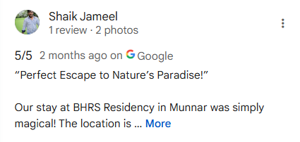 google review