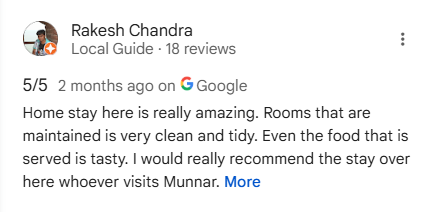 Google Review