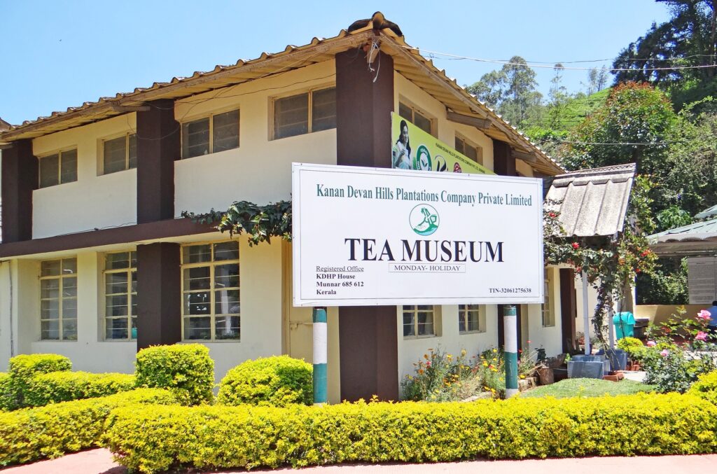 munnar tea mesume