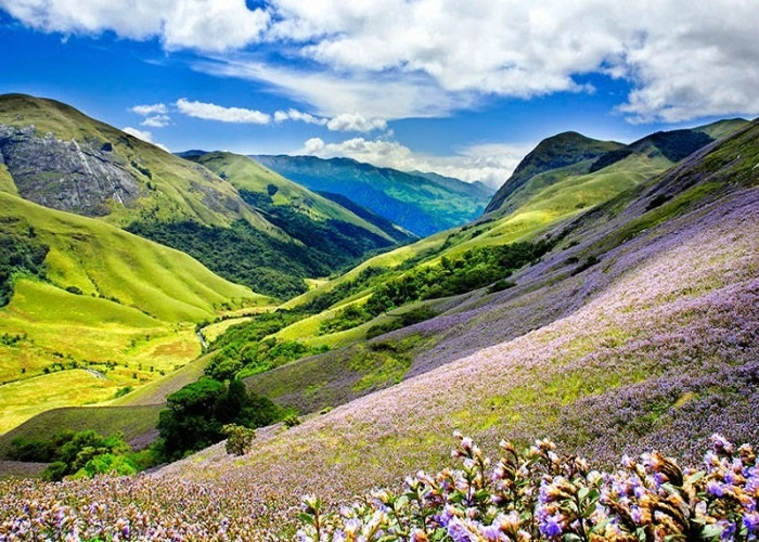 best affordable stacation in munnar attractions